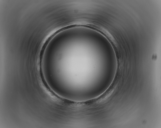 X0000091460939200708161519