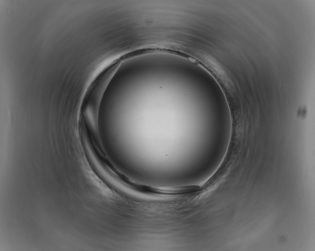X0000091460940200708161520