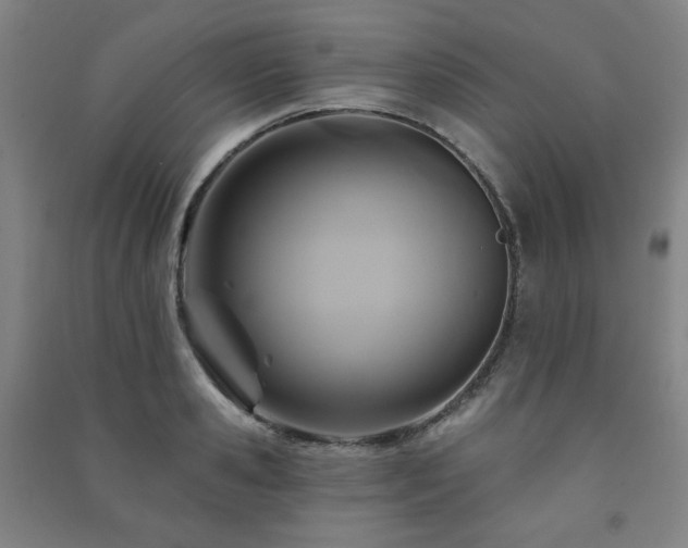 X0000091460941200708161520