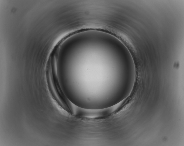 X0000091460942200708161520