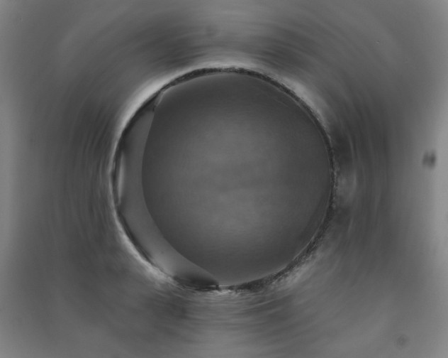 X0000091460943200708161520