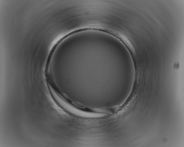 X0000091460944200708161520