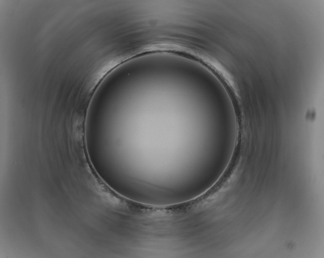 X0000091460945200708161520