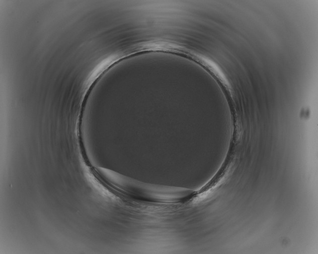 X0000091460946200708161520