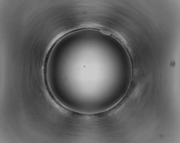 X0000091460947200708161520