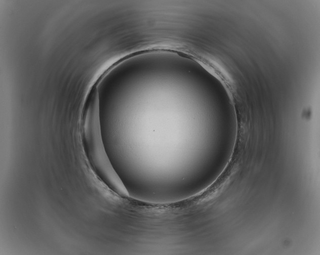 X0000091460948200708161520