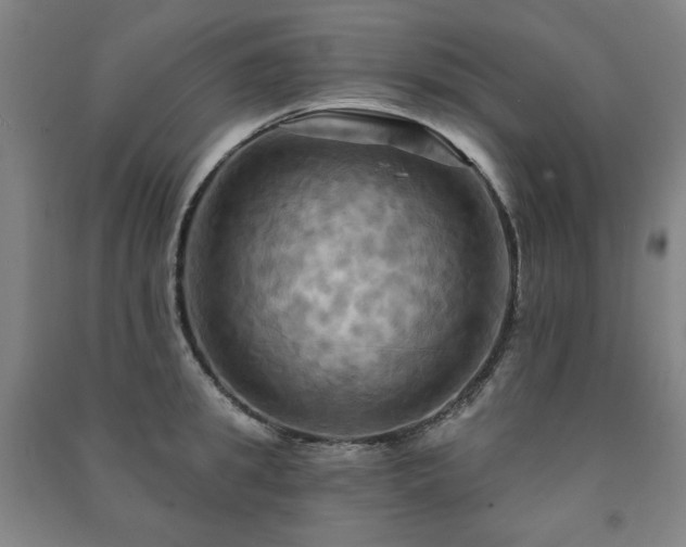 X0000091460949200708161520