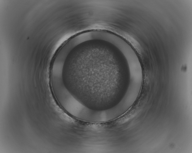 X0000091460950200708161520