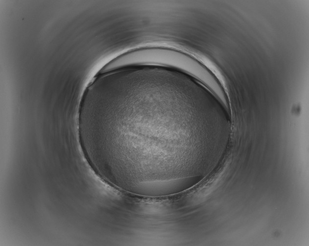 X0000091460951200708161520