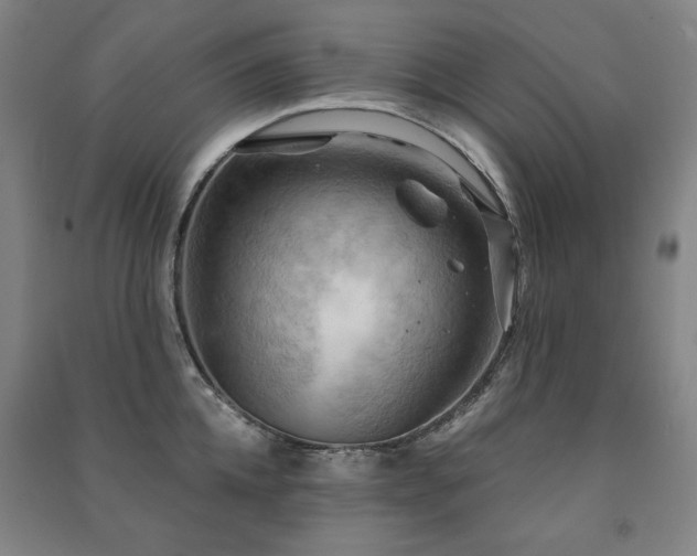 X0000091460952200708161520