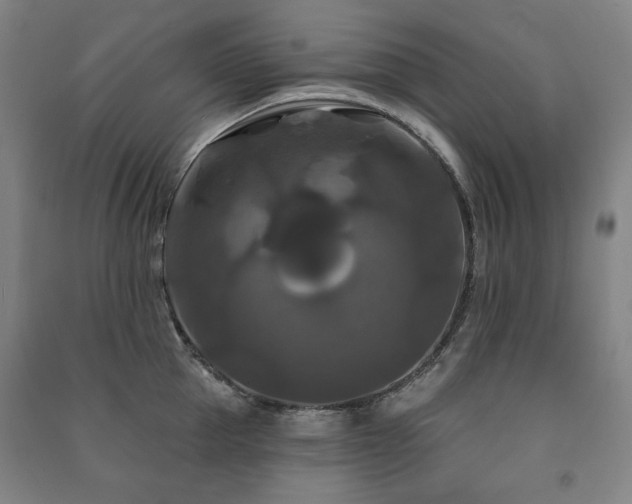 X0000091460953200708161520