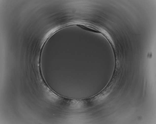 X0000091460954200708161520