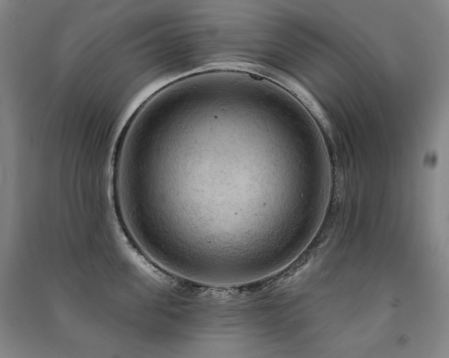 X0000091460955200708161520