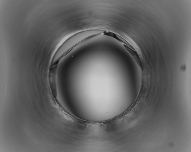 X0000091460956200708161520