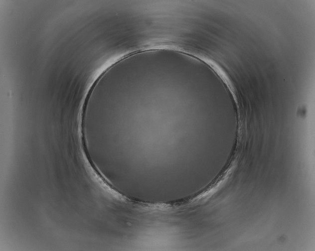 X0000091460957200708161520