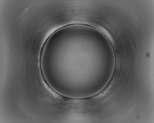 X0000091460958200708161520