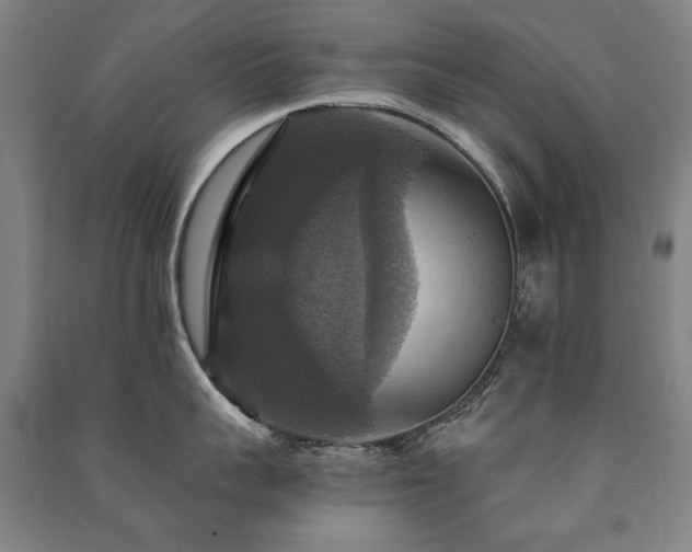 X0000091460959200708161520
