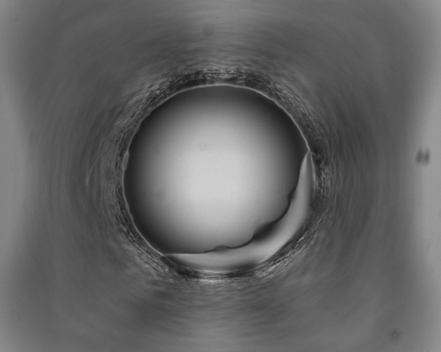 X0000091460961200708161519