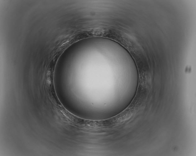 X0000091460962200708161519