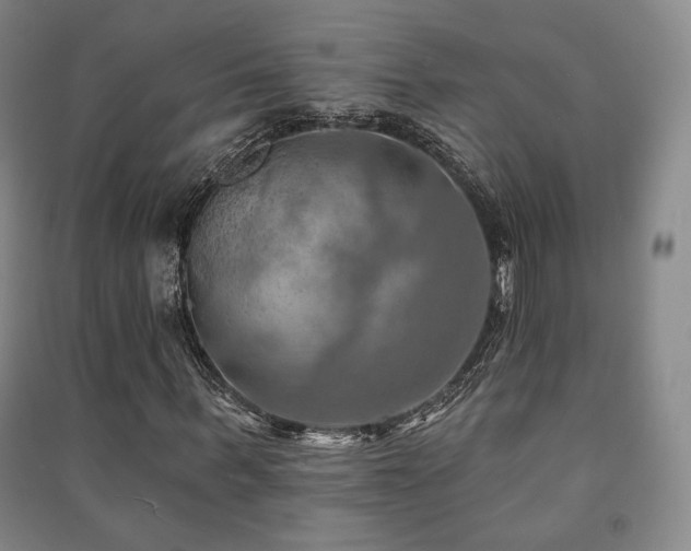 X0000091460963200708161519