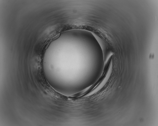 X0000091460964200708161519