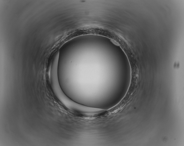 X0000091460965200708161519