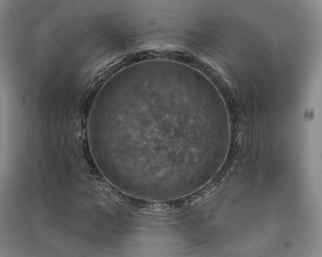 X0000091460966200708161519