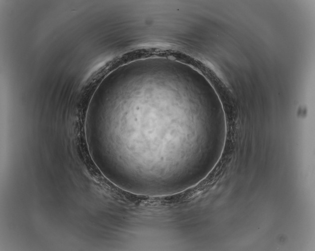 X0000091460967200708161519