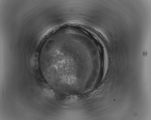 X0000091460968200708161519
