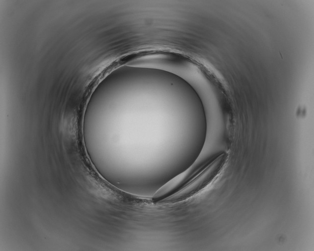 X0000091460969200708161519