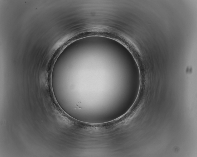 X0000091460970200708161519