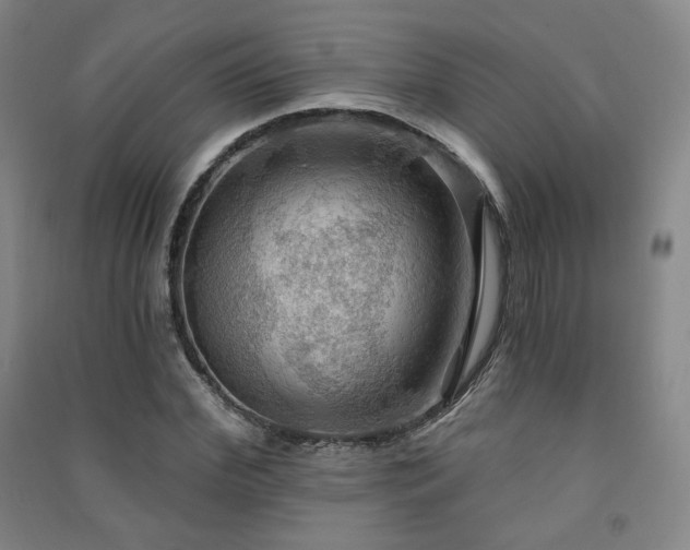 X0000091460972200708161519