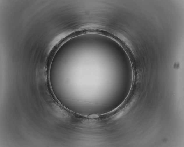 X0000091460973200708161519