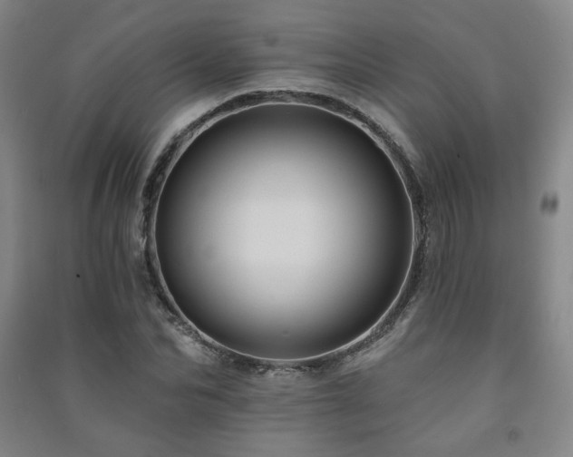X0000091460974200708161519
