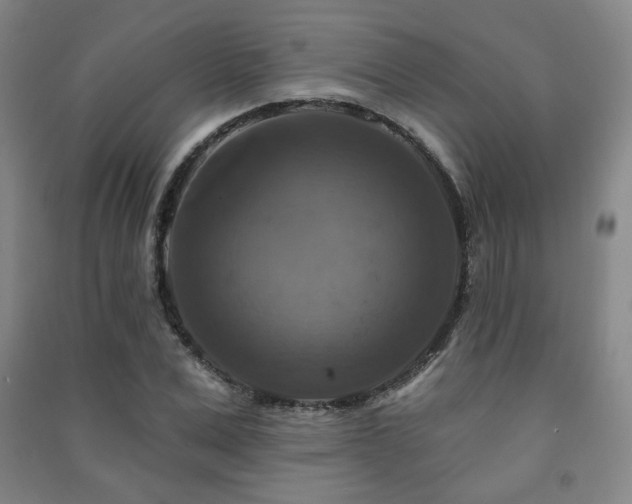 X0000091460975200708161519