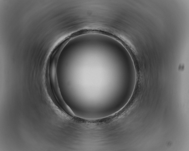 X0000091460976200708161519