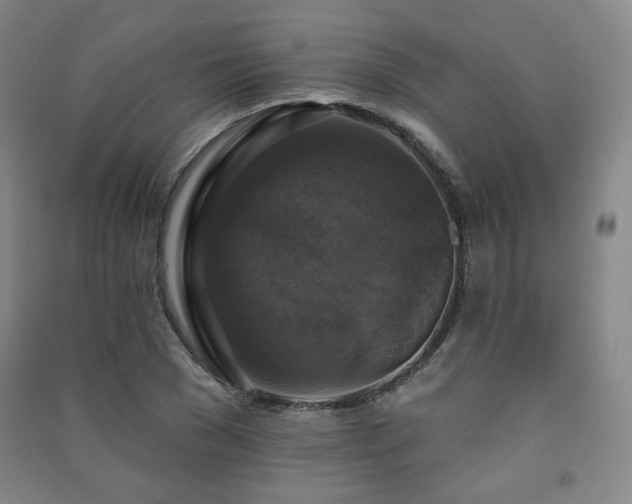 X0000091460977200708161519