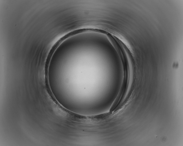 X0000091460980200708161519