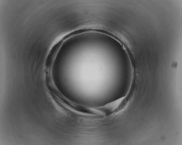 X0000091460981200708161519
