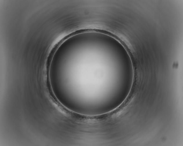 X0000091460982200708161519