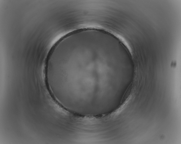 X0000091460983200708161519