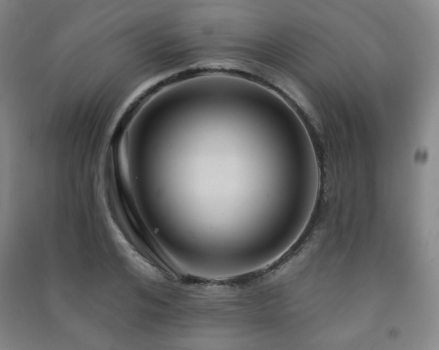 X0000091460984200708161519