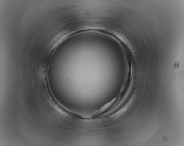 X0000091460985200708161519