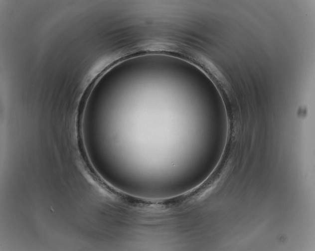 X0000091460986200708161519