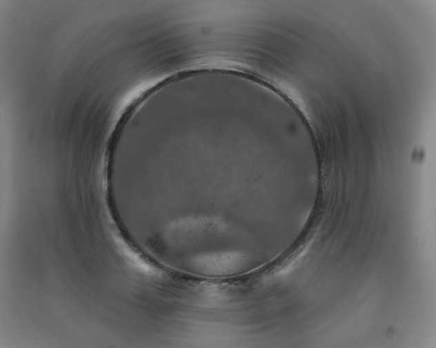 X0000091460987200708161519