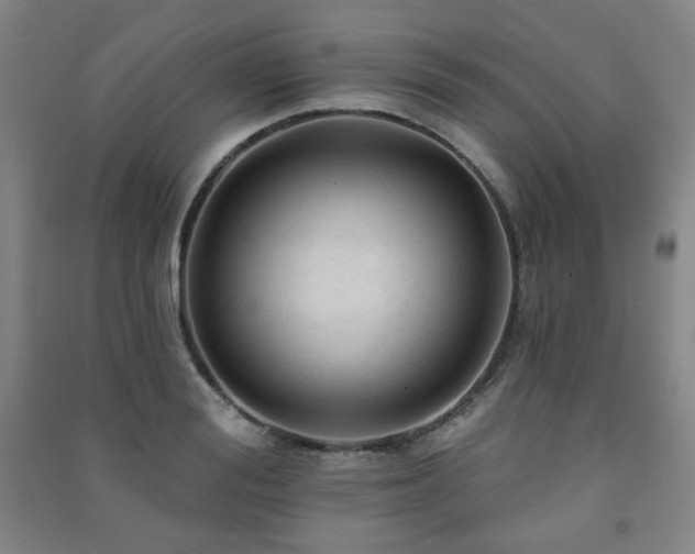 X0000091460988200708161519