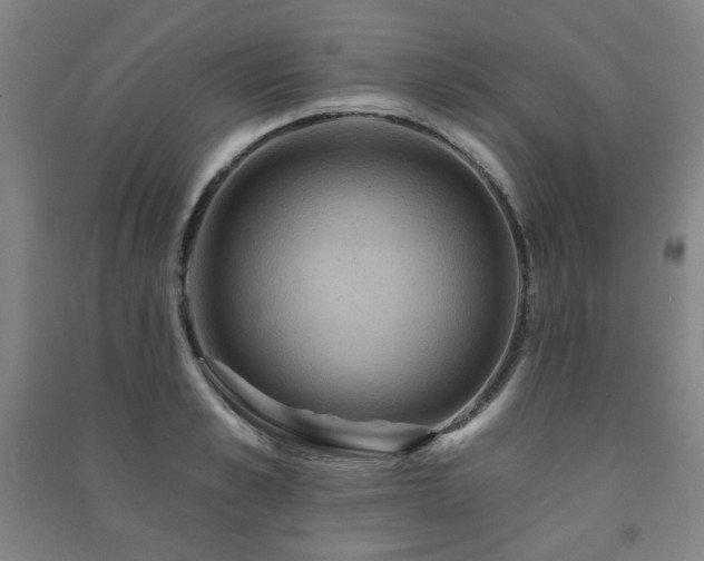 X0000091460989200708161519