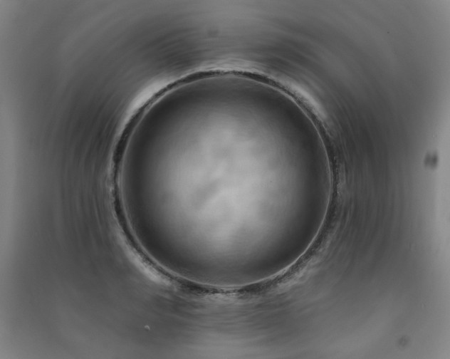 X0000091460990200708161519