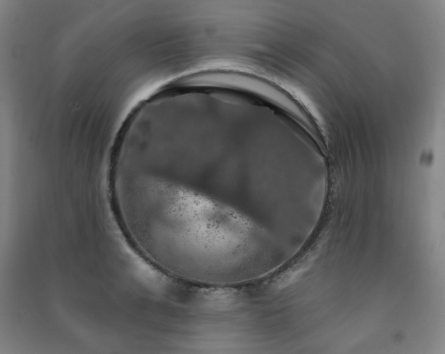 X0000091460991200708161519
