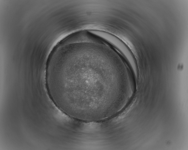 X0000091460992200708161519